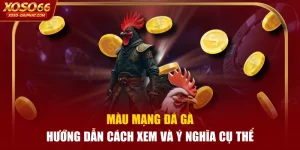 Màu Mạng Đá Gà - Hướng Dẫn Cách Xem Và Ý Nghĩa Cụ Thể